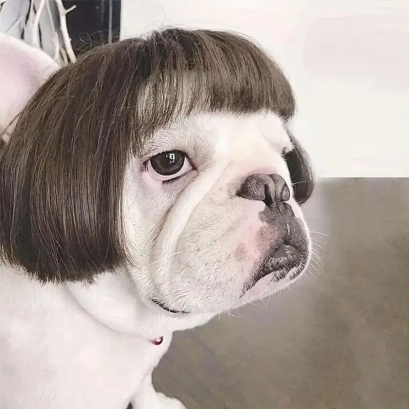Customizable Trim-to-Fit Pet Wig