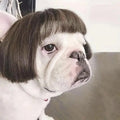 Customizable Trim-to-Fit Pet Wig