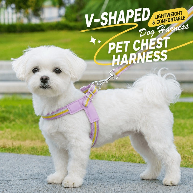 Ultra-Breathable Air Mesh Harness
