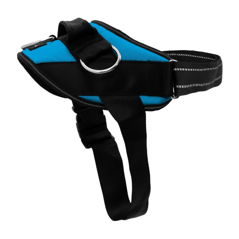 Side-Ring Gentle Guidance Harness