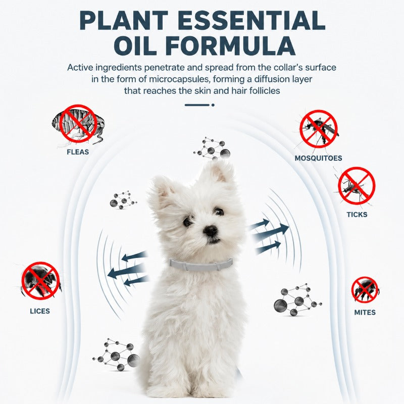 Safe Anxiety-Relief Flea Collar