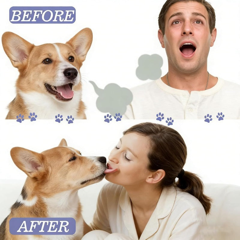 Brushless Pet Dental Spray