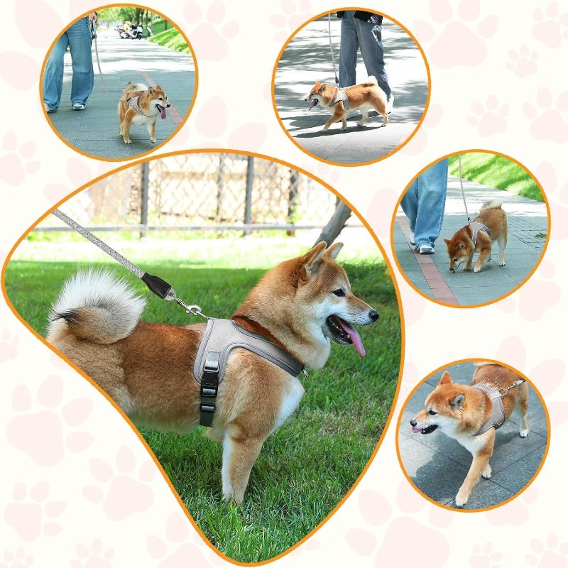 YoPoll Breathable Dog Harness with Reflective Leash