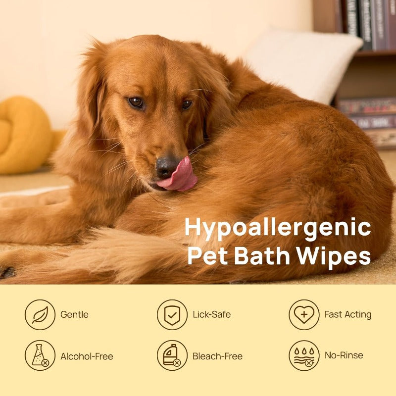 Waterless Pet Grooming Gloves