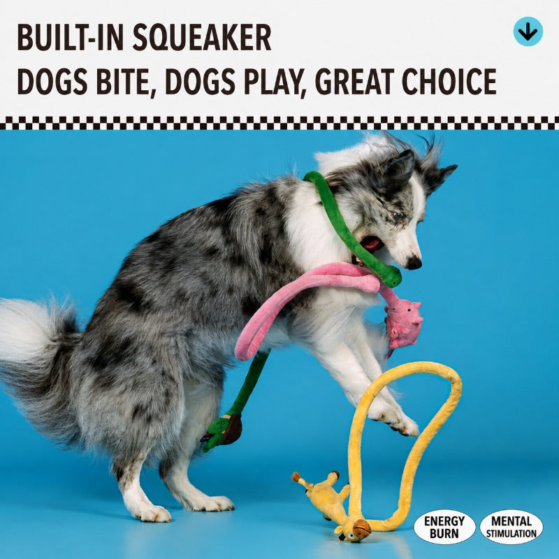 Durable Plush Tugger