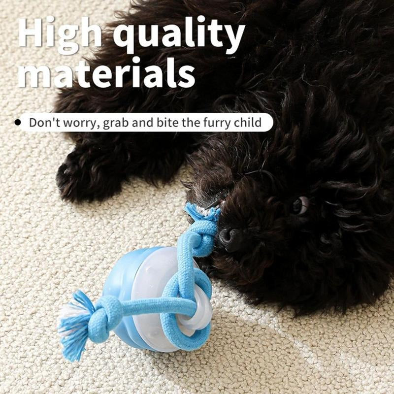 Smart Dog Toy Ball