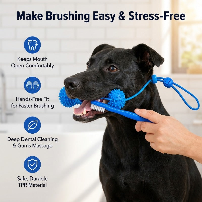 Hands-Free Dog Brushing Aid