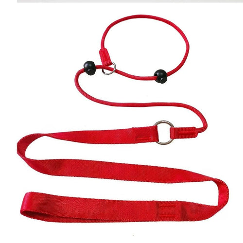 2-in-1 Slip-Lead Dog Leash – Training Collar & Walking Lead with Anti-Tangle Swivel