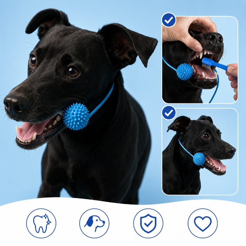 Hands-Free Dog Brushing Aid