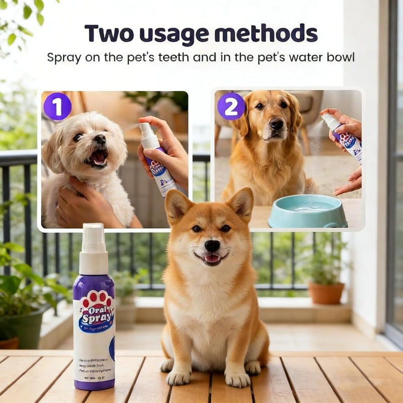 Brushless Pet Dental Spray