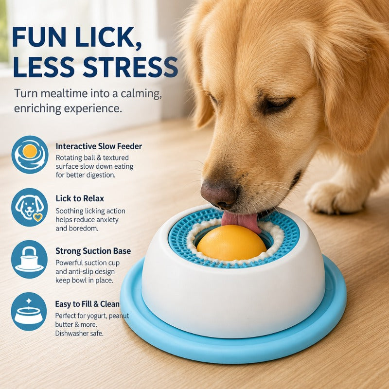 Slow Feeder Lick Bowl