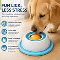 Slow Feeder Lick Bowl