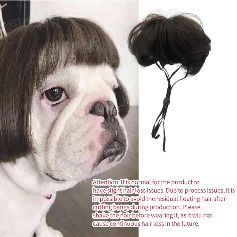 Customizable Trim-to-Fit Pet Wig