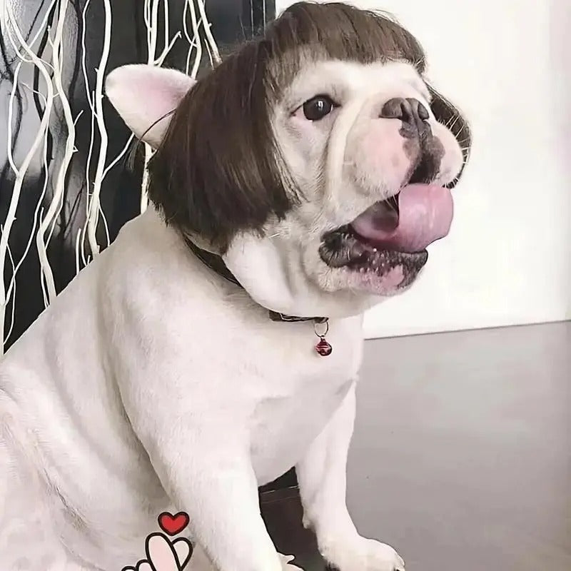 Customizable Trim-to-Fit Pet Wig