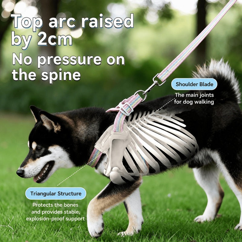 Ultra-Breathable Air Mesh Harness