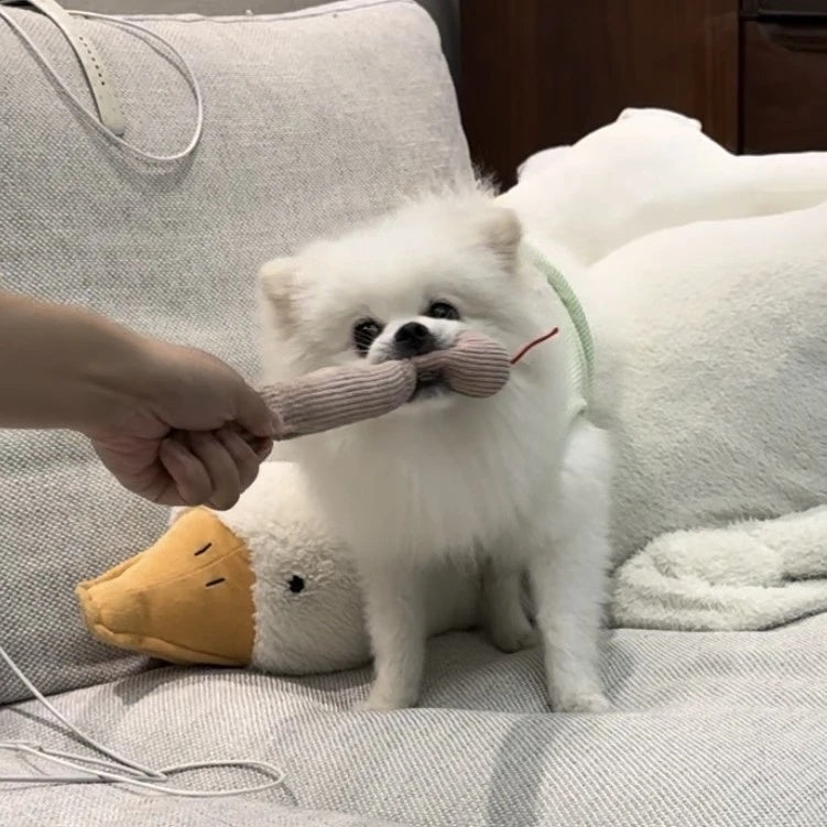 Interactive Plush Snake Toy