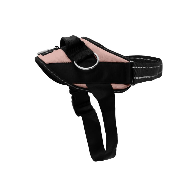 Side-Ring Gentle Guidance Harness