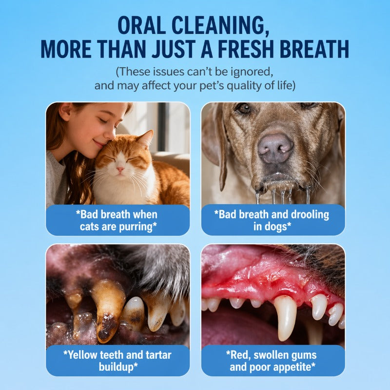 Instant Pet Breath Freshener