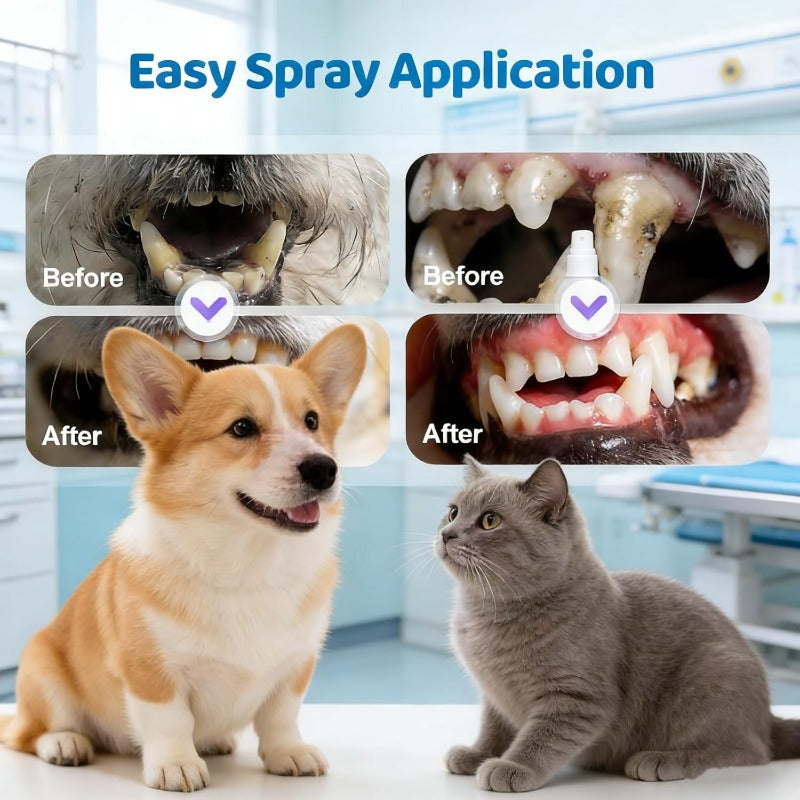 Brushless Pet Dental Spray