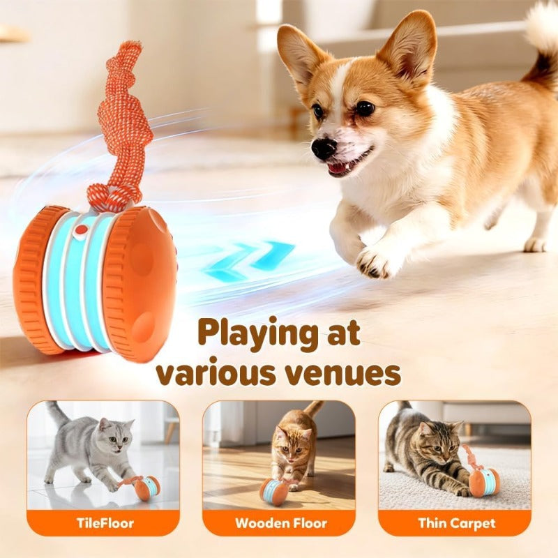 Interactive Electric Rolling Toy