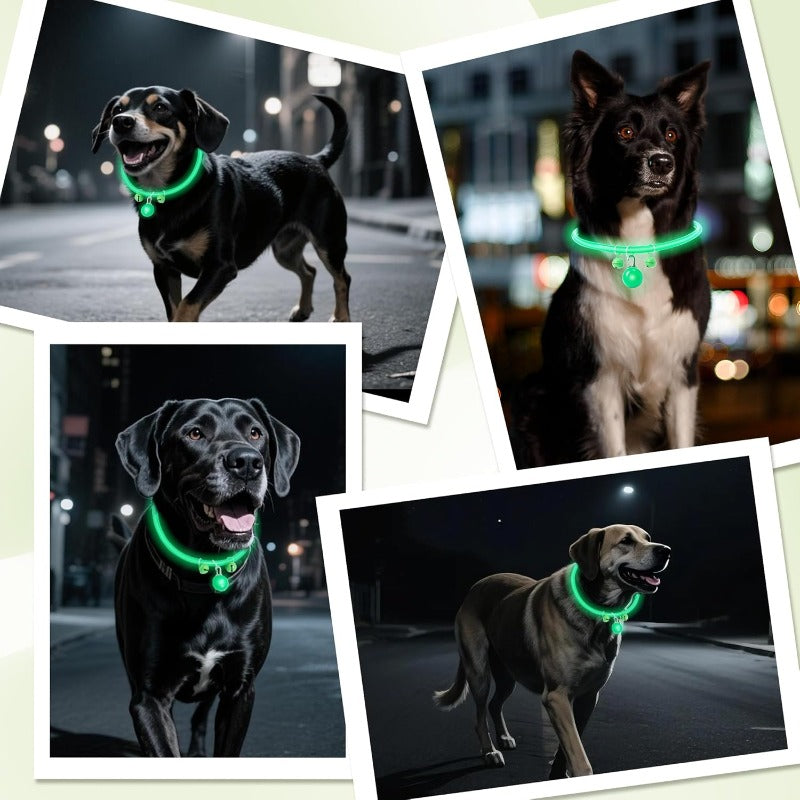 LED Dog Safety Collar