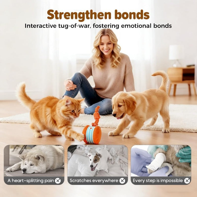 Interactive Electric Rolling Toy