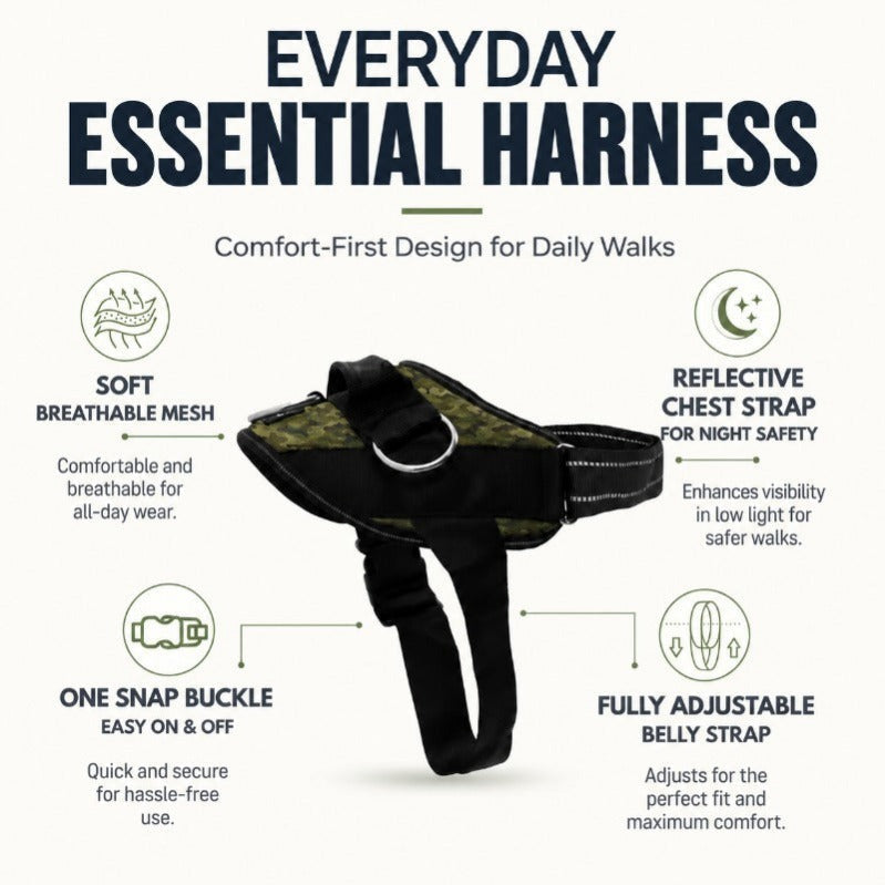 Side-Ring Gentle Guidance Harness