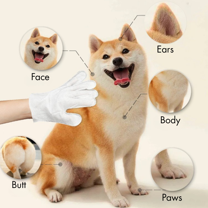 BFF PETS Deodorizing Cat & Dog Grooming Glove Wipes