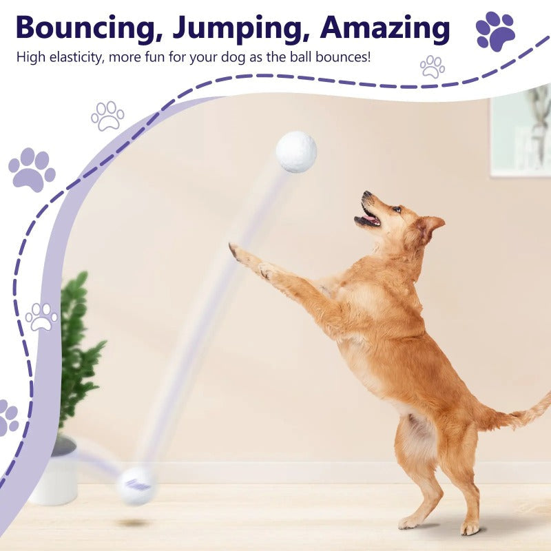 Indestructible Dog Ball