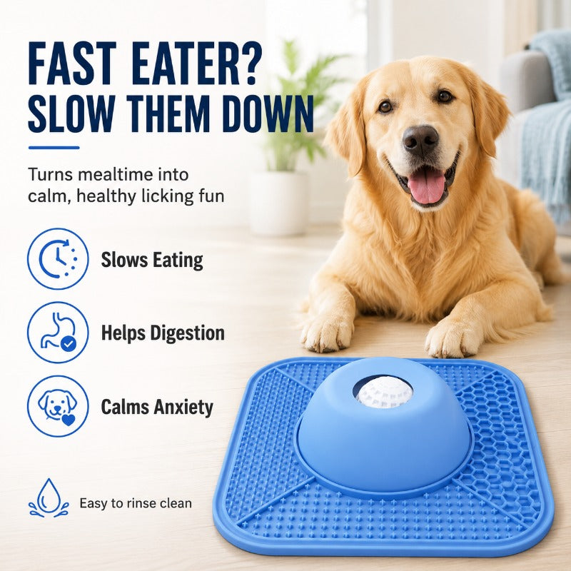 Silicone Lick & Feed Bowl