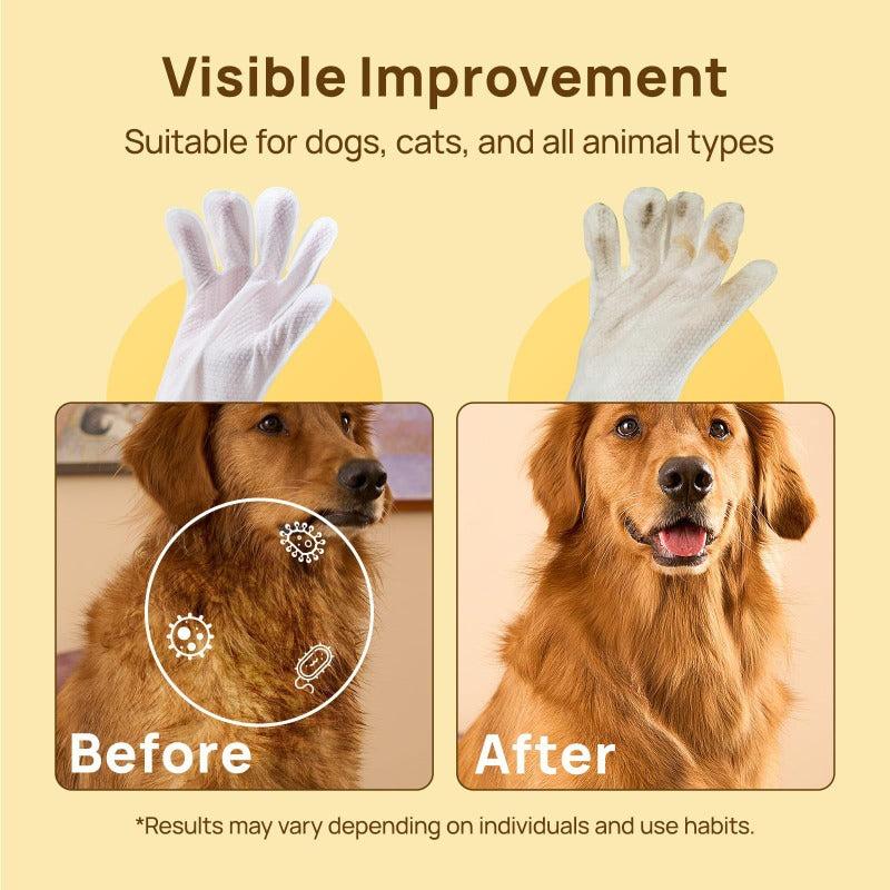 Waterless Pet Grooming Gloves