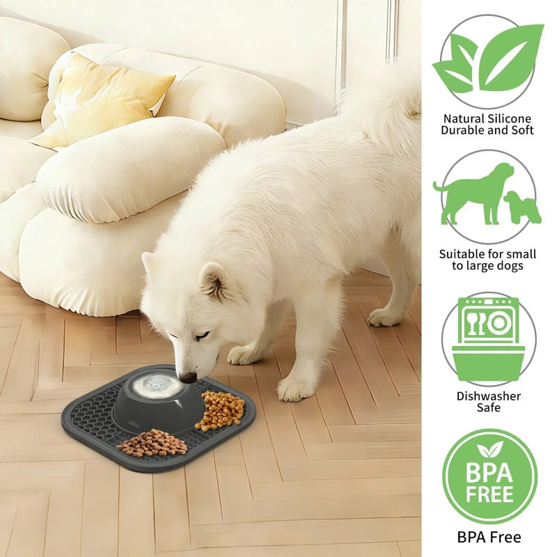 Silicone Lick & Feed Bowl