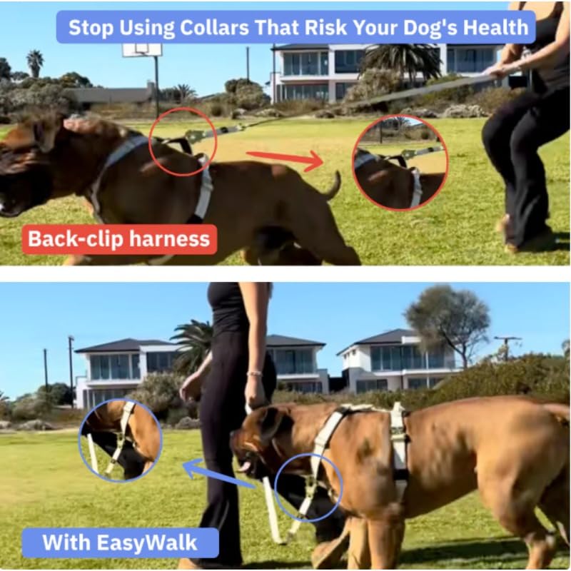 Breathable Mesh No-Pull Harness