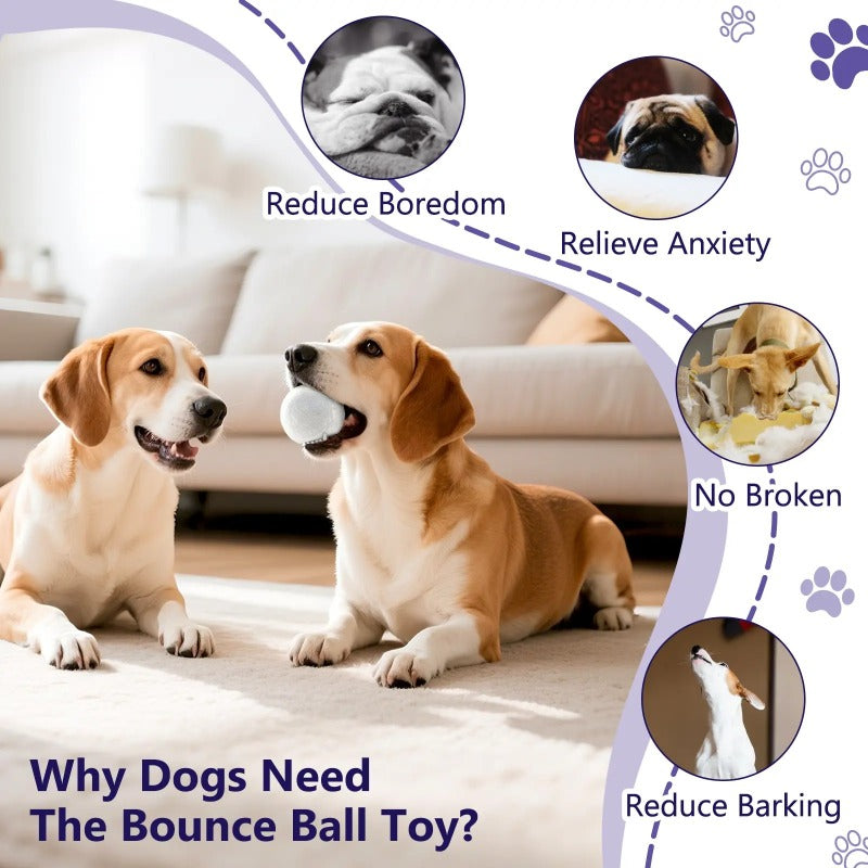 Indestructible Dog Ball