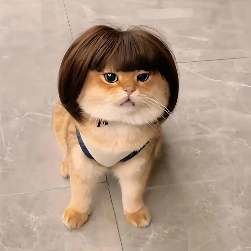 Customizable Trim-to-Fit Pet Wig