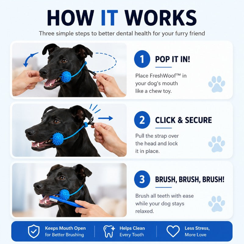 Hands-Free Dog Brushing Aid