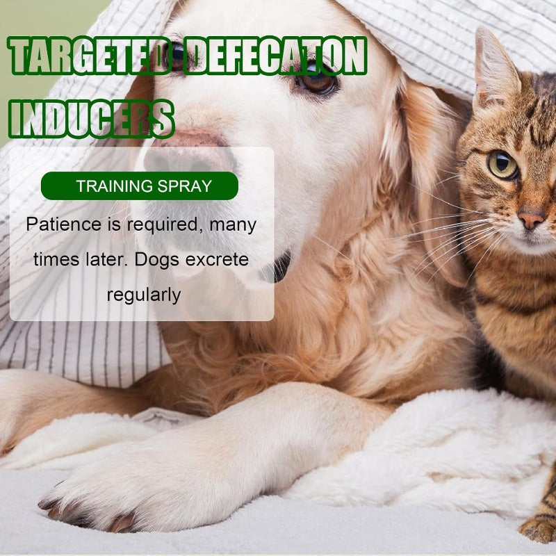 Stress-Free Potty Training Spray