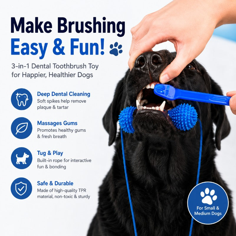 Hands-Free Dog Brushing Aid