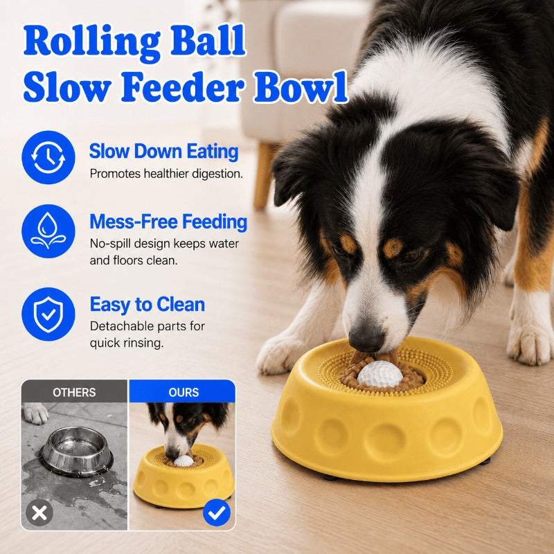 Anti-Gulping Dog Bowl