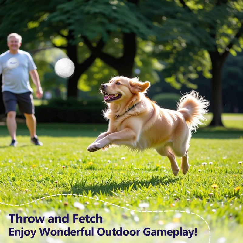 Indestructible Dog Ball