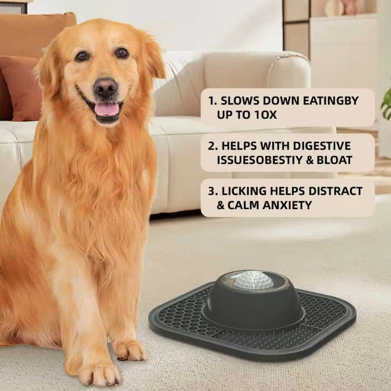 Silicone Lick & Feed Bowl