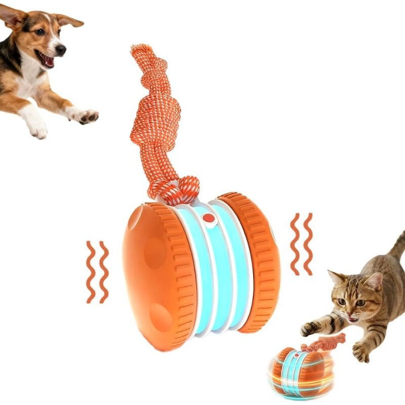 Interactive Electric Rolling Toy