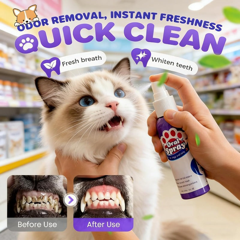 Brushless Pet Dental Spray