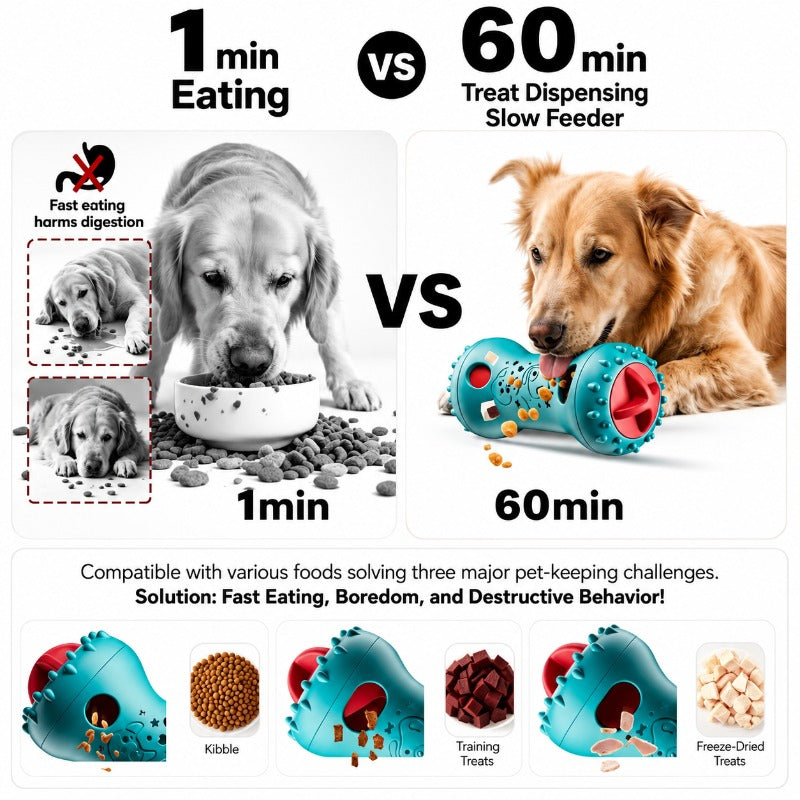 Interactive Treat Puzzle Toy