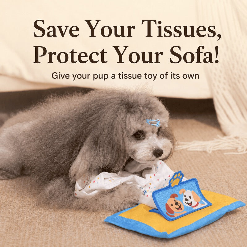 Snuffle & Pull Tissue Toy
