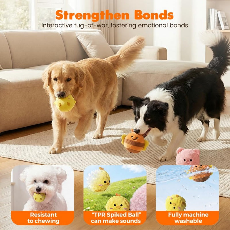 Squeaky Bouncy Dog Ball Toys