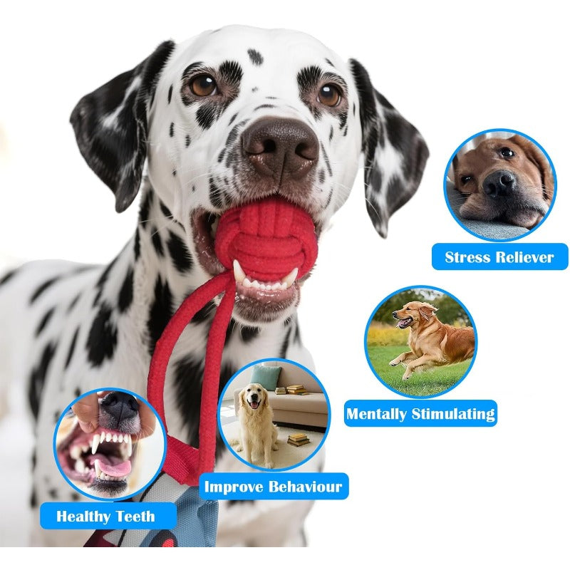 Extreme Pulling Dog Toy
