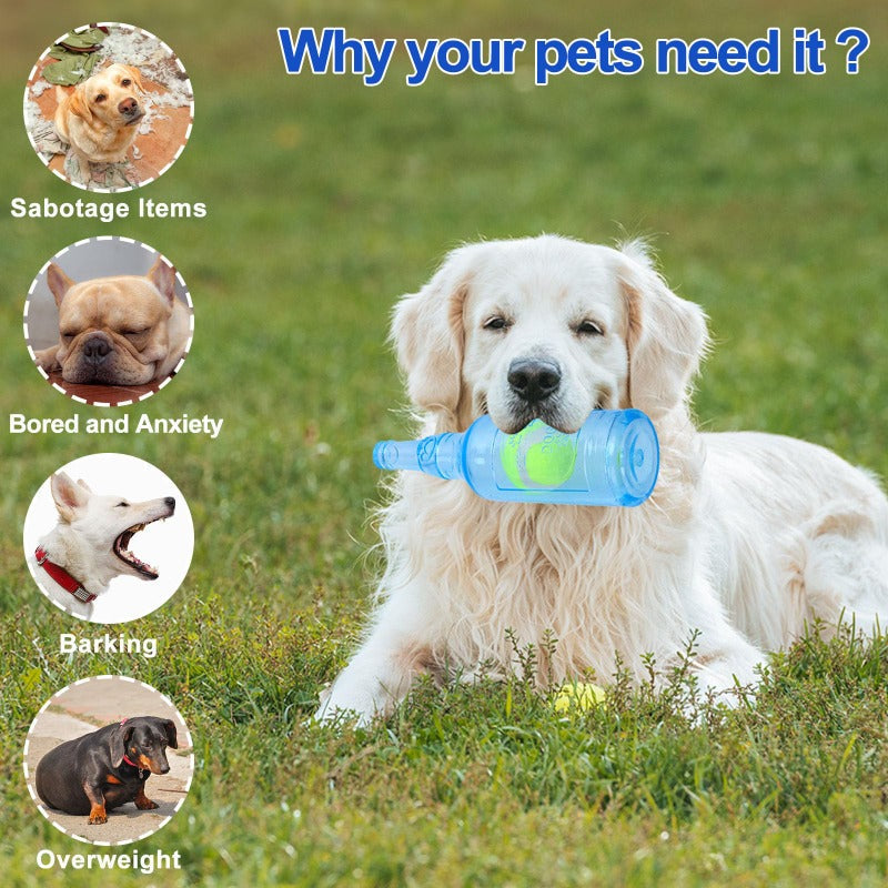 Interactive Squeaky Fetch Bottle