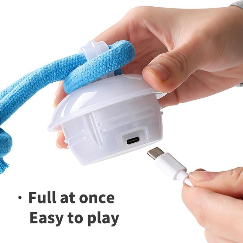 Smart Dog Toy Ball