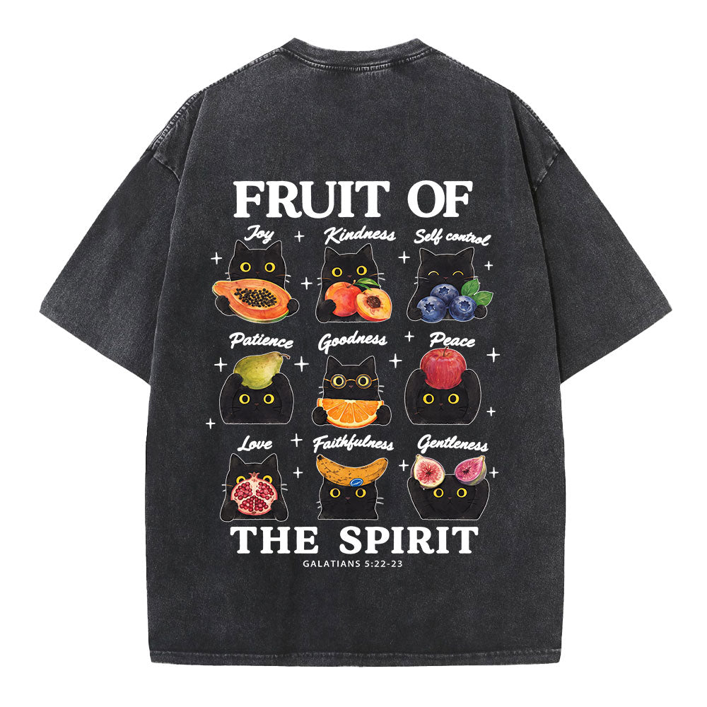 Fruit Of The Spirit Christian Washed T-shirt